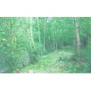 Etang d'environ 3013m² situé à Brexent Enocq