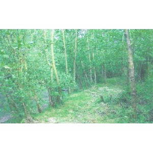 Etang d'environ 3013m² situé à Brexent Enocq